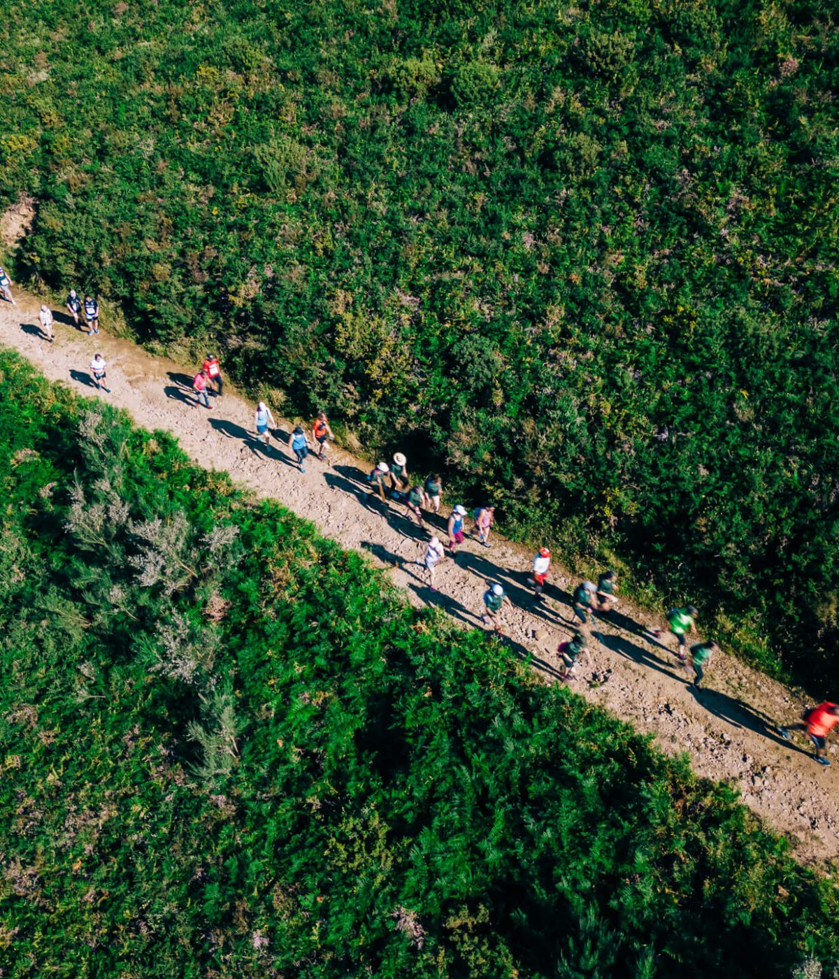 DJI_0185