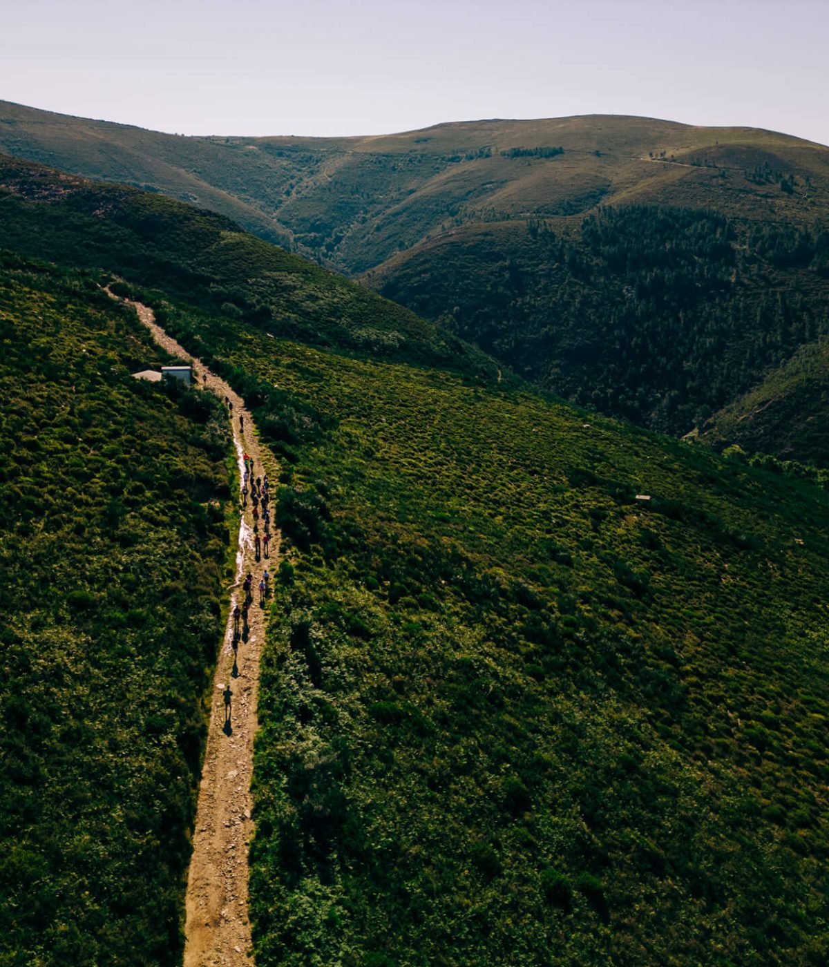 DJI_0188